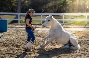 North Carolina's Multi-Talented Horse Sets Incredible New Guinness World Record - image 6