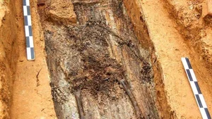 One-Legged Skeleton Discovery Reveals Secrets of Napoleon's Brave General Charles-Etienne Gudin - image 3