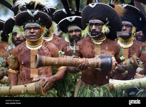 The Fascinating Tribe That Values Pigs More Than Gold and Wealth - image 2