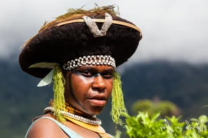 The Fascinating Tribe That Values Pigs More Than Gold and Wealth - image 6