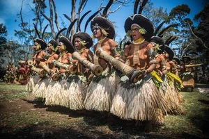 The Fascinating Tribe That Values Pigs More Than Gold and Wealth - image 0