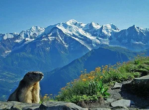 Fascinating and Incredible Facts About the European Alps - image 6