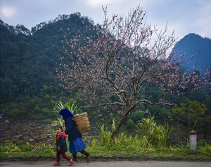 Stunning Landscapes Along the Golden Route of Ha Giang - image 3