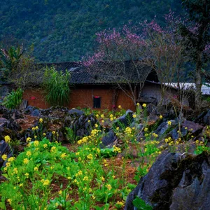 Stunning Landscapes Along the Golden Route of Ha Giang - image 8