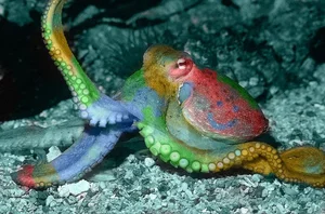 The Fascinating Science of Animals with Three Hearts and Blue Blood - image 9