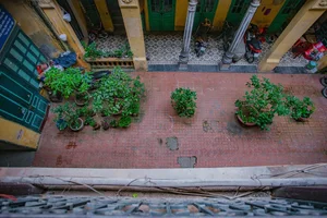 Step Inside the Historic Precious Wood Villa of Hanoi Oldest Wealthy Tycoon - image 8