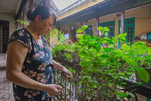 Step Inside the Historic Precious Wood Villa of Hanoi Oldest Wealthy Tycoon - image 4