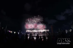 Da Nang International Fireworks Festival DIFF 2026: Spectacular Opening and Tourism Highlights - image 5