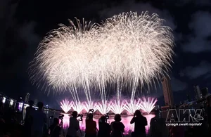 Da Nang International Fireworks Festival DIFF 2026: Spectacular Opening and Tourism Highlights - image 3