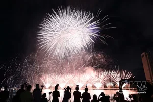 Da Nang International Fireworks Festival DIFF 2026: Spectacular Opening and Tourism Highlights - image 10