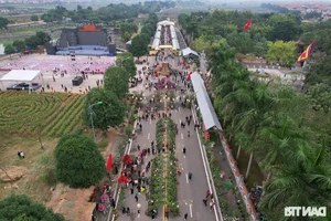 Vibrant Spring Flower Festival Debuts in Northern Vietnam - image 21