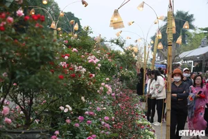Vibrant Spring Flower Festival Debuts in Northern Vietnam - image 29