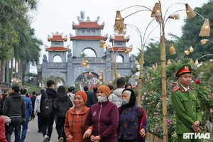 Vibrant Spring Flower Festival Debuts in Northern Vietnam - image 1