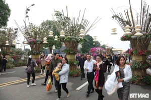 Vibrant Spring Flower Festival Debuts in Northern Vietnam - image 3
