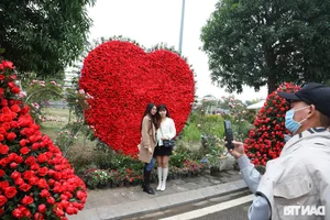 Vibrant Spring Flower Festival Debuts in Northern Vietnam - image 14