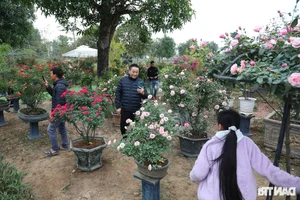 Vibrant Spring Flower Festival Debuts in Northern Vietnam - image 13
