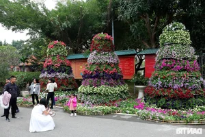 Vibrant Spring Flower Festival Debuts in Northern Vietnam - image 28