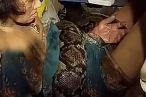 Unexpected Beast Encounter While Washing Dishes: A Viral Surprise - image 0