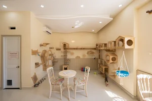 La Dulce Bakery: A Charming Vintage Escape in the Heart of Da Nang - image 1