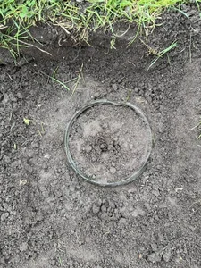 Remarkable Archaeological Find: 2,500-Year-Old Ancient Sword Discovered via Metal Detector - image 0