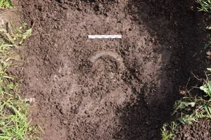 Remarkable Archaeological Find: 2,500-Year-Old Ancient Sword Discovered via Metal Detector - image 1