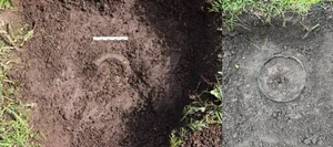 Remarkable Archaeological Find: 2,500-Year-Old Ancient Sword Discovered via Metal Detector - image 4
