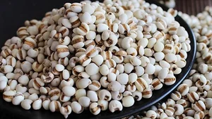From Survival Food to Gourmet Specialty: The Rise of Traditional Grains - image 3