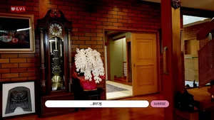 K-Pop Idol from Lesser-Known Group Shocks Fans with Luxury Home - image 2