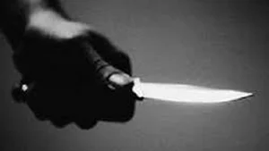 How a Child's Mysterious Crying Unraveled a Shocking Criminal Investigation - image 2
