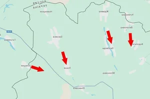 Ukraine Transforms Sumy Forest into Defensive Stronghold Amid Russian Troop Buildup - image 13