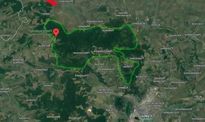 Ukraine Transforms Sumy Forest into Defensive Stronghold Amid Russian Troop Buildup - image 2