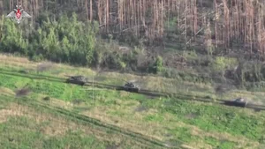 Ukraine Transforms Sumy Forest into Defensive Stronghold Amid Russian Troop Buildup - image 15