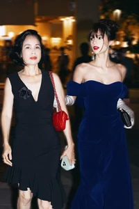 Tang Thanh Ha Niece Beauty Pageant Journey Stunning Visuals and Goddess Body - image 1