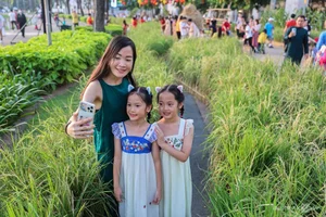 Phu My Hung Spring Flower Street Welcomes Crowds in Saigon - image 5