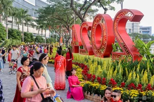 Phu My Hung Spring Flower Street Welcomes Crowds in Saigon - image 1