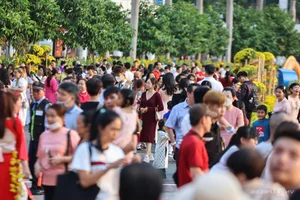 Phu My Hung Spring Flower Street Welcomes Crowds in Saigon - image 0