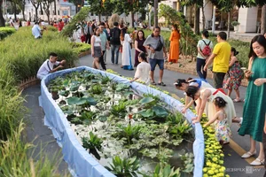 Phu My Hung Spring Flower Street Welcomes Crowds in Saigon - image 2