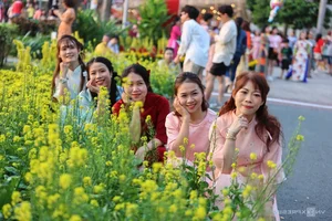 Phu My Hung Spring Flower Street Welcomes Crowds in Saigon - image 4