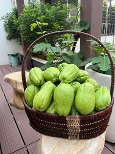 Hanoi Rooftop Oasis: A Husband’s 100m2 Garden Gift for His Wife - image 12