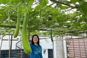 Hanoi Rooftop Oasis: A Husband’s 100m2 Garden Gift for His Wife - image 0