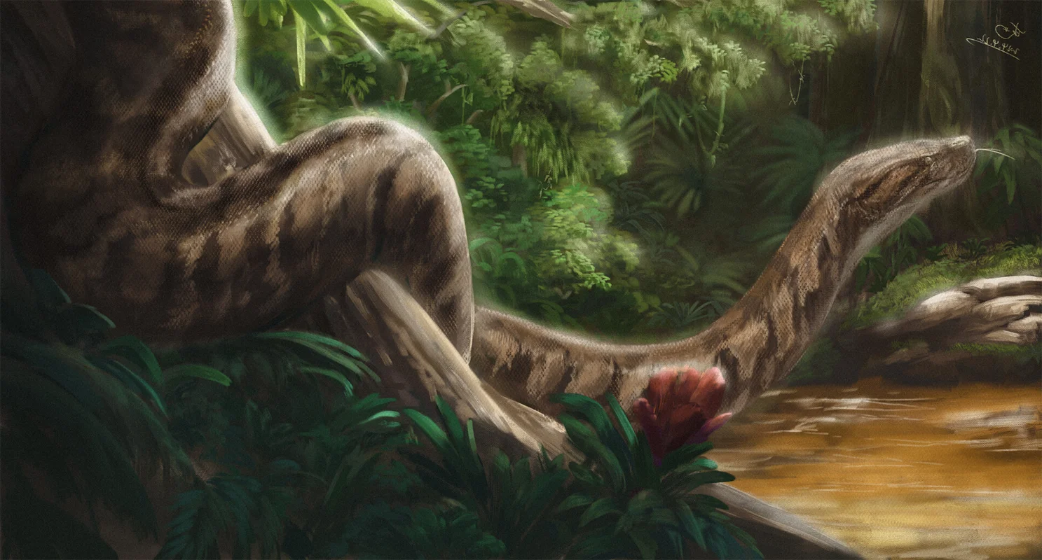 Titanoboa: Unveiling the Largest Prehistoric Monster Snake to Ever Exist on Earth