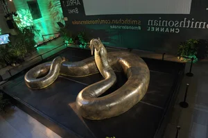 Titanoboa: Unveiling the Largest Prehistoric Monster Snake to Ever Exist on Earth - image 3