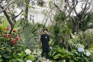 Inside the Forest Retreat of Vietnam's Famous 'Father of Many Children' - image 6