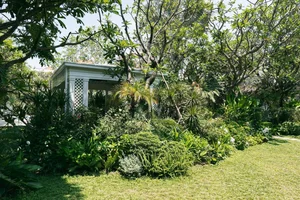 Inside the Forest Retreat of Vietnam's Famous 'Father of Many Children' - image 10
