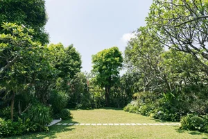 Inside the Forest Retreat of Vietnam's Famous 'Father of Many Children' - image 11