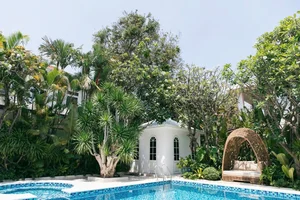 Inside the Forest Retreat of Vietnam's Famous 'Father of Many Children' - image 7