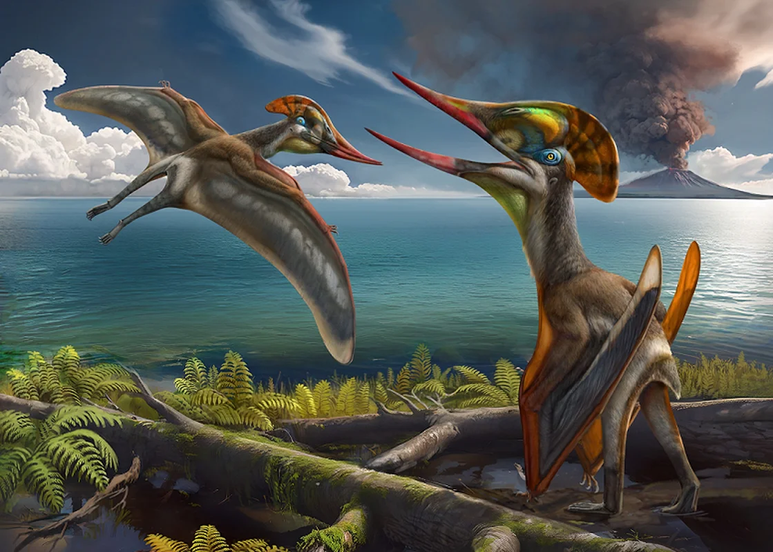 New Flying Monster Discovery: Rare Pterosaur Fossil Uncovered in China