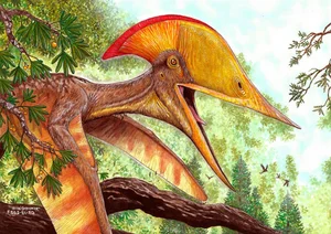 New Flying Monster Discovery: Rare Pterosaur Fossil Uncovered in China - image 2