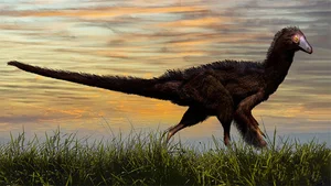 New Flying Monster Discovery: Rare Pterosaur Fossil Uncovered in China - image 3