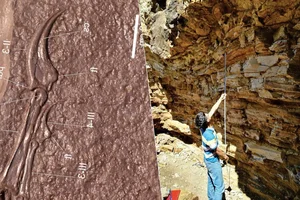 New Flying Monster Discovery: Rare Pterosaur Fossil Uncovered in China - image 7